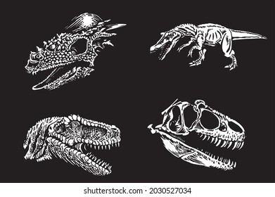 Graphical Set Skulls Dinosaurs Isolated On Stock Vector (Royalty Free ...