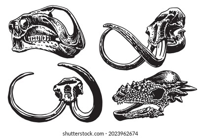 Graphical set of skulls of dinosaurs and mammoth isolated on white background,vector illustration