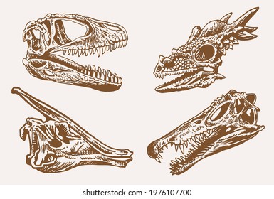 Graphical set of skulls of dinosaurs,vintage illustration