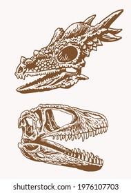 Graphical set of skulls of dinosaurs,vintage illustration
