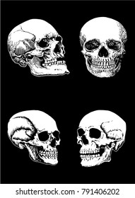 Graphical set of skulls isolated on black background ,vector illustration
