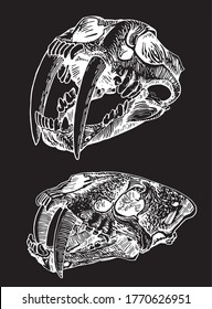 Graphical set skulls saber