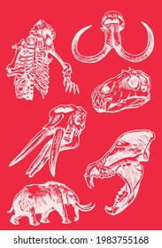 Graphical set of skulls and skeleton of animals,color illustration, vector drawing