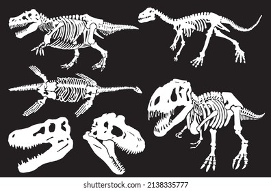 Graphical set of skulls and skeletons of tyrannosaurus isolated on black, vector fossils