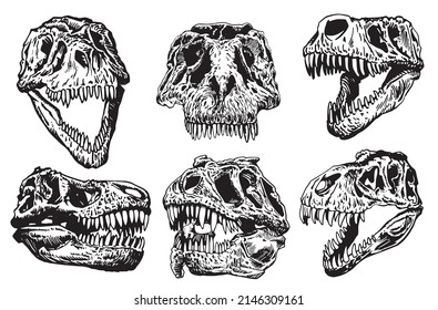 1,669 Graphical Skeleton Tyrannosaurus Isolated On White Background ...