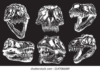 Graphical set of skulls of tyrannosaurus isolated on black background,paleontological elements 
