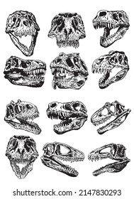 Graphical set of skulls of tyrannosaurus isolated on white background,paleontological elements 