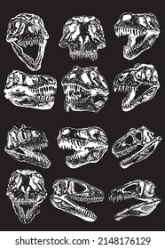 Graphical set of skulls of tyrannosaurus isolated on black background,paleontological elements 