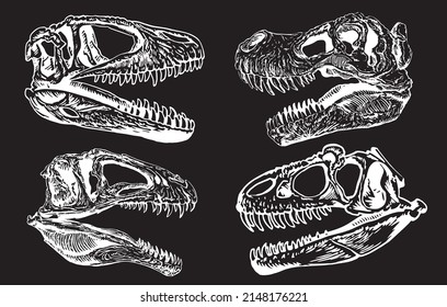 Graphical set of skulls of tyrannosaurus isolated on black background,paleontological elements 