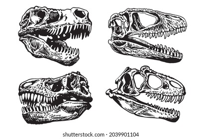 ティラノサウルス イラスト 骨 のベクター画像素材 画像 ベクターアート Shutterstock