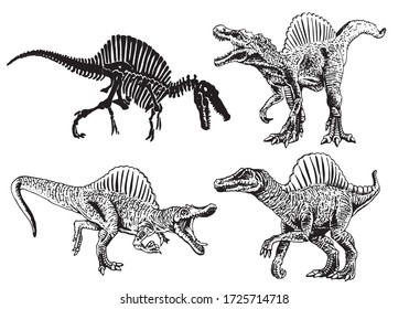 Graphical set of spinosauruses isolated on white background, vector illustration for tattoo ,logo and printing