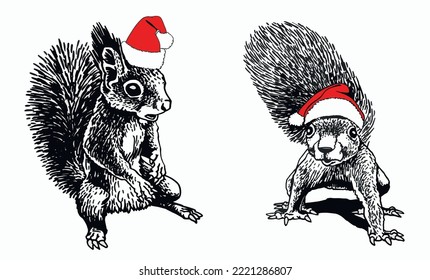 Graphical set of squirrels in red Santa Claus hats isolated on white background,vector illustration