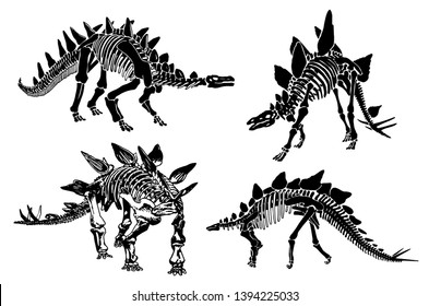 Graphical set of stegosaurus skeletons isolated on white ,vector illustration,tattoo.