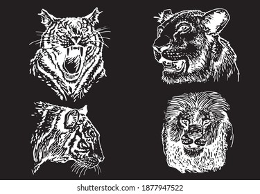 Graphical set of tigers isolated on black background, vector engraved illustration