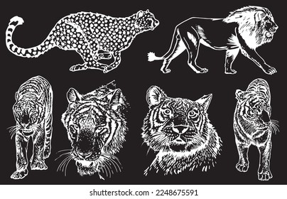 Graphical set of tigers and lions isolated on black 
 background,vector hand-drawn illustration for tattoo and printing