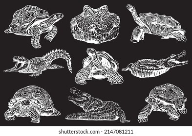 Graphical set of tortoises and crocodiles isolated on black,vector elements,aquatic animals