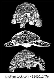 Graphical set of tortoises isolated on black for tattoo and printing,vector illustration