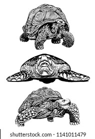 Graphical set of tortoises isolated on white for tattoo and printing,vector illustration
