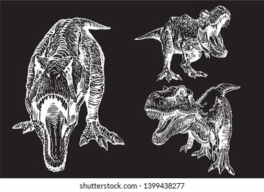 Graphical set of tyrannosaurus isolated on black,vector illustration