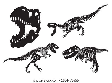 Graphical set of tyrannosaurus skeletons isolated on white background,vector illustration,paleontology