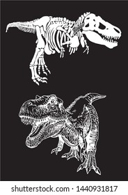 Graphical set of tyrannosauruses isolated on black,vector illustration, paleontology