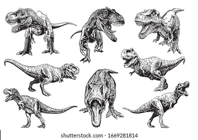 Graphical set of tyrannosauruses isolated on white, vector dinosaurs , elements for tattoo , design  