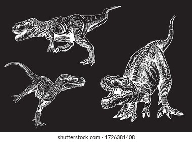 Graphical set of tyrannosauruses isolated on black background, vector engraved illustration for tattoo ,logo and printing	
