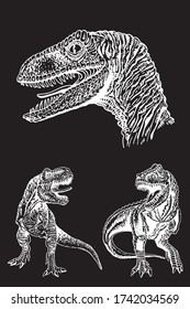 Graphical set of tyrannosauruses isolated on black background, vector engraved  illustration