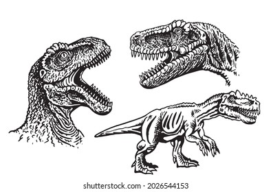 Graphical set of tyrannosauruses isolated on white background,vector elements
