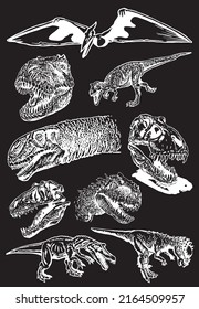 Graphical set of tyrannosauruses isolated on black ,vector elements,jurrasic perioud 