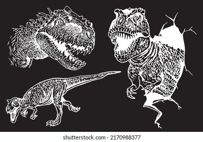 Graphical set of tyrannosauruses isolated on black ,vector elements,jurrasic perioud 