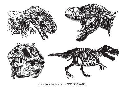Graphical set of tyrannosauruses isolated on white background,vector illustration for tattoo and printing,textile