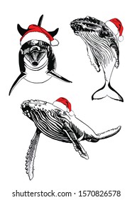 Graphical set of whales in Santa Claus hats isolated on white background,vector illustration