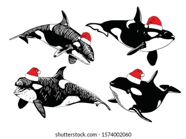 Graphical set of whales in Santa Claus hats isolated on white background,vector new year illustration