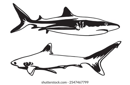 Graphical set of white sharks isolated on white background,vector ink pen illustration,tattoo elements