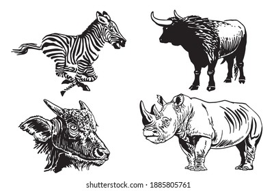 Graphical set of wild animals isolated , vector illustration