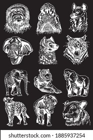 Graphical set of wild animals isolated on black background.