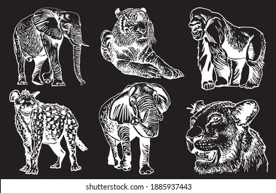 Graphical set of wild animals isolated on black background.
