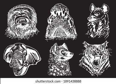 Graphical set of wild animals isolated on black background.