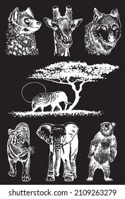 Graphical set of wild animals isolated on black background,vector engraved elements, African animals	