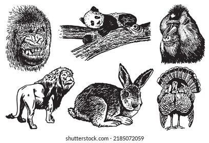 Graphical  set of wild animals isolated on white background,vector ink pen illustration