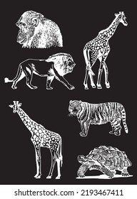 Graphical set of wild animals isolated on black,vector engraved illustration. Hand-drawn elements of the wild