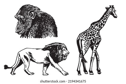 Graphical set of wild animals isolated on white,vector illustration. Hand-drawn elements of savanna life