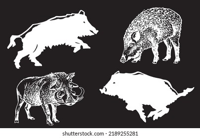 Graphical set of wild hogs isolated on black,ink pen boars,vector engraved illustration