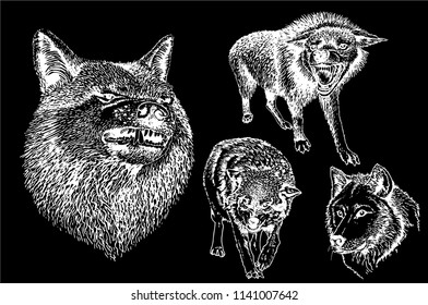 Graphical set of wolfs isolated on black for tattoo and printing,vector illustration