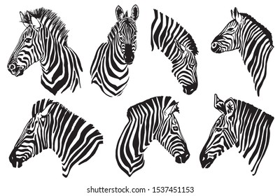 Graphical set of zebras isolated on white background,vector illustration for tattoo and art