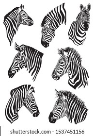 Graphical set of zebras isolated on white background,vector illustration for tattoo and art