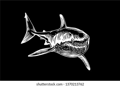 Graphical shark isolated on black background,vector engraved illustration