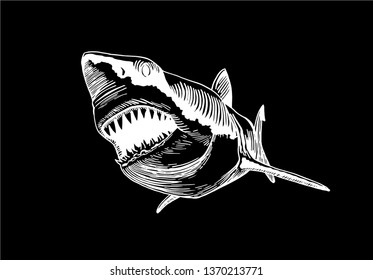 Graphical shark isolated on black background,vector engraved illustration