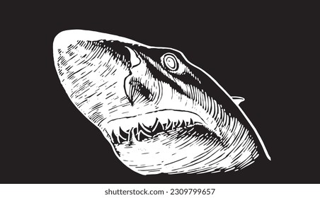 Tiburón gráfico sobre fondo negro, vida submarina. Ilustración vectorial, gran elemento de tiburón blanco
